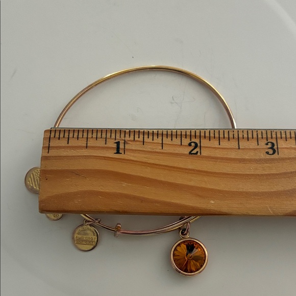 Alex and Ani Gold Bracelet with Amber Charm - Picture 2 of 3